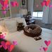 Candace Nowak - Facebook