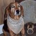 Candy Ogden - Facebook
