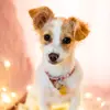 Candice Pickering - @candice_pickering - TikTok