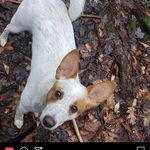 Candace Prokop Reed - @candace.reed1 - Instagram