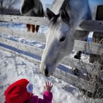 Candace Reid - @little.farm.in.the.bluff - Instagram