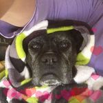 Candace Roach - @candace.roach.3 - Instagram