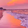 CandaceRoach - @leschnkyvsl - TikTok