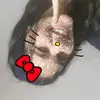 ༺☆༻ - @candacerojas1 - TikTok