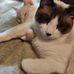 Candace Snow - Facebook