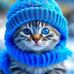 Candice Snow - Facebook