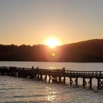 Candace Spence Guthro - @cmguthro - Instagram