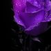 Candice Spruill - Facebook