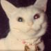 Candace Stark - Facebook