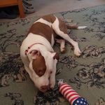 Candace Steiner - @candace.steiner.5 - Instagram