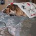 Candace Steinert - Facebook