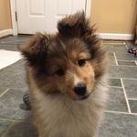 Candace Stiles - @candace.stiles.98 - Instagram