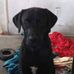 Candace Stover - Facebook