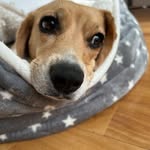Candace Sullivan - @candacesullivan361 - Instagram