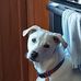 Candy Thayer - Facebook