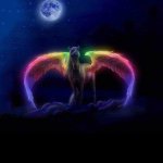 Candice Tilley - @sparkypony123 - Instagram
