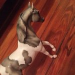 Candice Tilley - @breyer.horses.only - Instagram