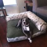 @candace.towersseale - Instagram