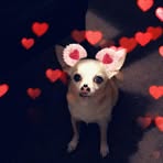 Candice Townsend - Facebook