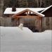 Candy Tripp - Facebook