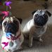 Candace Tuttle - Facebook