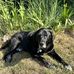 Candace Wallingford - Facebook