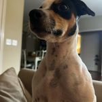 Candace Waters - @candacewaters231 - Instagram