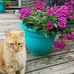 Candace Weber Teigland - Facebook