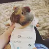 candace.weberyi6f - @candace.weberyi6f - TikTok