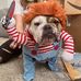 Candace Wilcoxson - Facebook