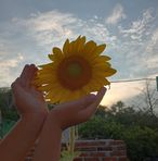 Canndii Barajas - Facebook