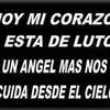 candelariacastro03 - @candelariacastro03 - TikTok