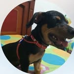 Candelaria Meza Herazo - @candelariamezaherazo - Instagram