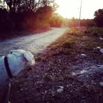Candelario Rivera Zetina - @cande_rize - Instagram