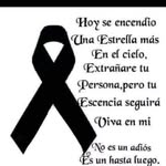 Armando Candelario Silva - @candelariosilvaarmando - Instagram