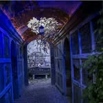 Candi Dunn - @candikane3 - Instagram