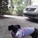 Candi Marshall - @candi.marshall.50 - Instagram