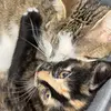 candicemarshall90 - @marthaandlola - TikTok