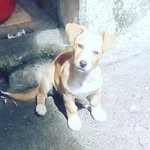 candi_ruiz - @cadi_ruiz - Instagram