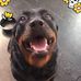 Candi Russell - Facebook
