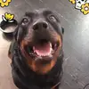 Candi Russell - @candi.russell - TikTok