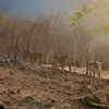 Candi Sandoval - @candi.sandoval - TikTok