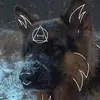candy shepherd - @candy.shepherd - TikTok