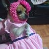 Candy sotelo - @candysotelo16 - TikTok