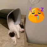 candy stanley - @candystanley13 - Instagram