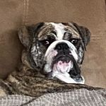 Candice Staples - @staples3871 - Instagram