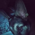Candi Stephens - @c4346449 - Instagram