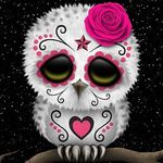 Candi Stevens Graves - @bookish_neerd - Instagram