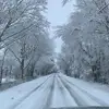 Candi Street - @candi.street - TikTok