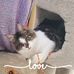 Candice Street - Facebook